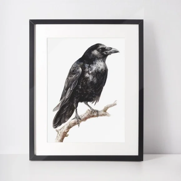 Watercolor Black Crow Wall Art Print Unframed - Black Bird Illustration Artwork - Picture 2 of 6
